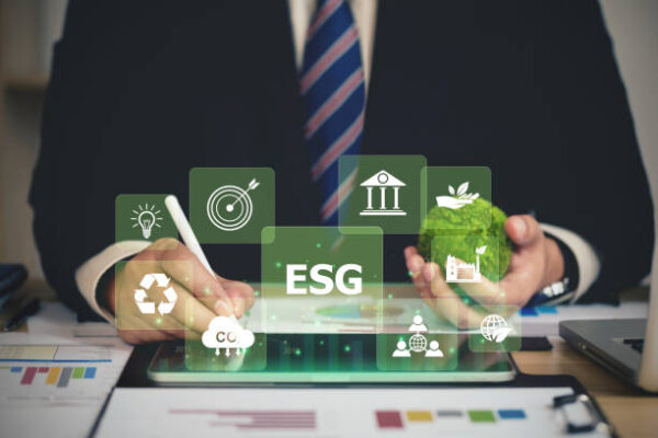 Understanding the Economics of Sustainable Investing and ESG