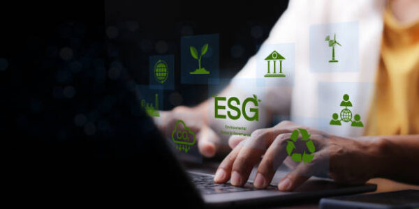 Understanding the Economics of Sustainable Investing and ESG