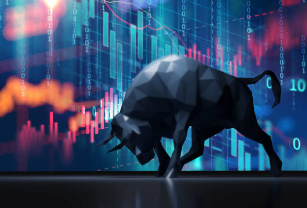 What distinguishes a bull from a bear crypto market and how to manage each