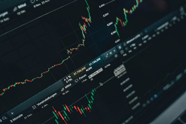 What distinguishes a bull from a bear crypto market and how to manage each