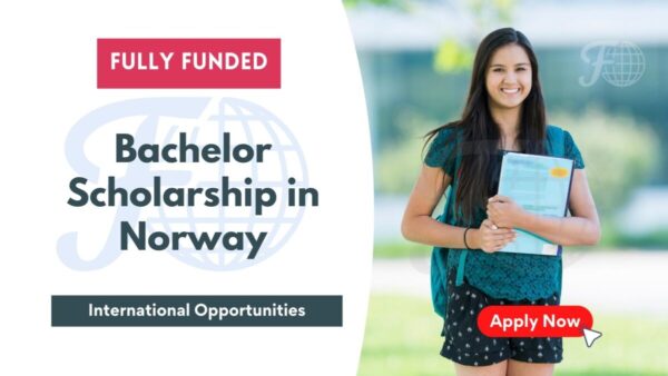 Top 10 Scholarships in Norway 2024
