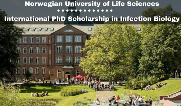 Norwegian University of Life Sciences (NMBU) Scholarships 2024