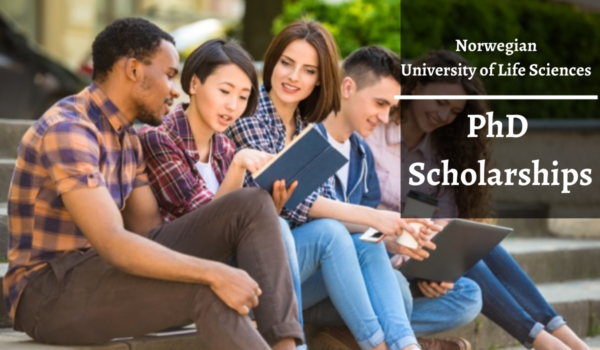 Norwegian University of Life Sciences (NMBU) Scholarships 2024