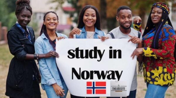 Top 10 Scholarships in Norway 2024